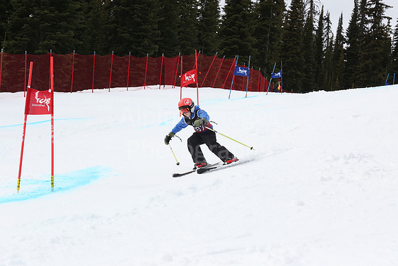 NGF2019Saturday bibs 181-200-238