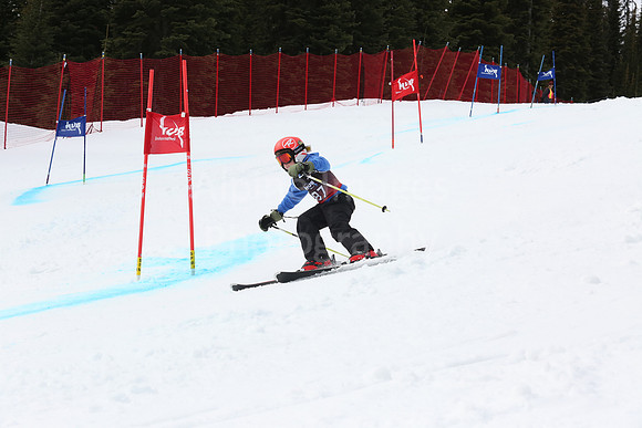 NGF2019Saturday bibs 181-200-240