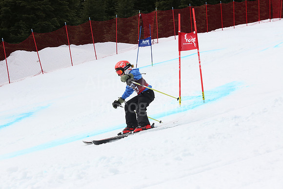 NGF2019Saturday bibs 181-200-242