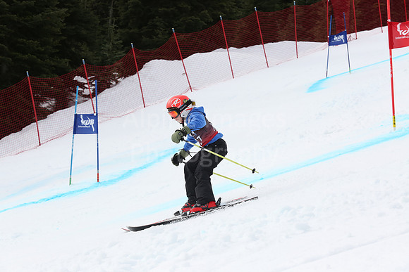 NGF2019Saturday bibs 181-200-243