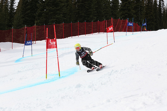 NGF2019Saturday bibs 181-200-304