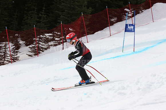 NGF2019Saturday bibs 181-200-324