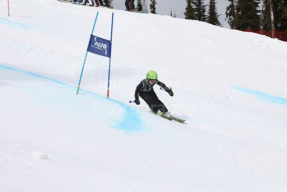 NGF2019Saturday bibs 221-240-22