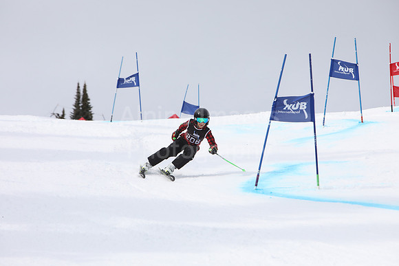 NGF2019Saturday bibs 201-220-34