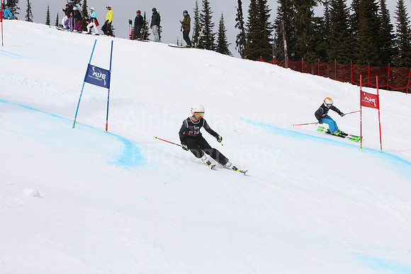 NGF2019Saturday bibs 201-220-107