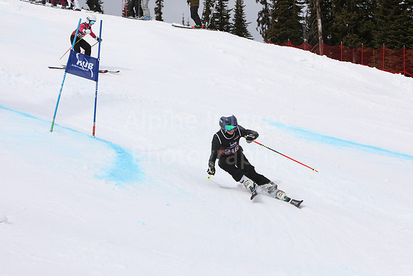NGF2019Saturday bibs 201-220-123