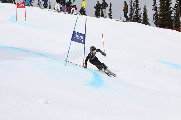 NGF2019Saturday bibs 201-220-141