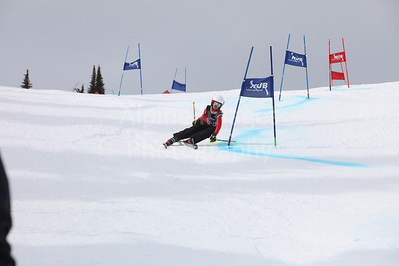 NGF2019Saturday bibs 201-220-153