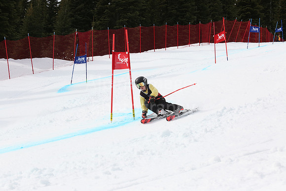 NGF2019Saturday bibs 201-220-174