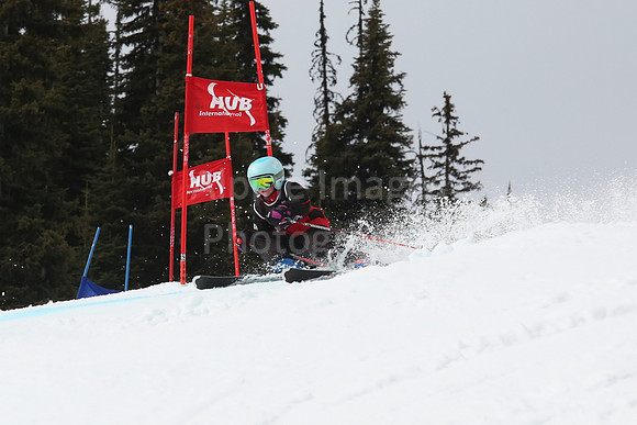 NGF2019Saturday bibs 201-220-182