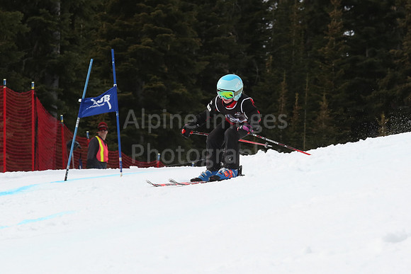 NGF2019Saturday bibs 201-220-184
