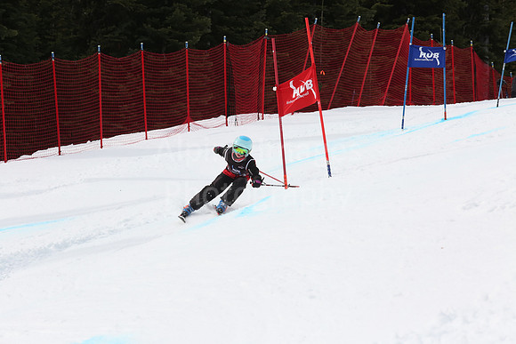 NGF2019Saturday bibs 201-220-186