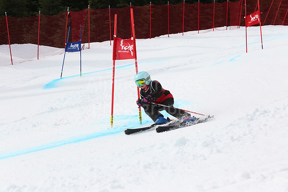 NGF2019Saturday bibs 201-220-194