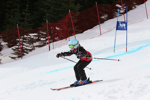 NGF2019Saturday bibs 201-220-197