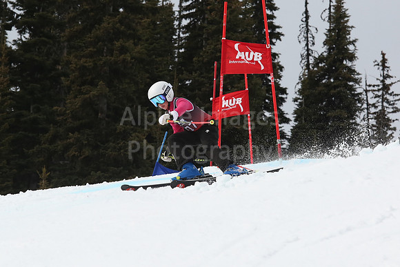 NGF2019Saturday bibs 201-220-221