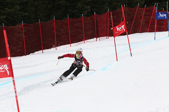 NGF2019Saturday bibs 201-220-238