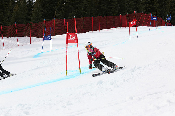NGF2019Saturday bibs 201-220-244