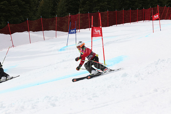 NGF2019Saturday bibs 201-220-245