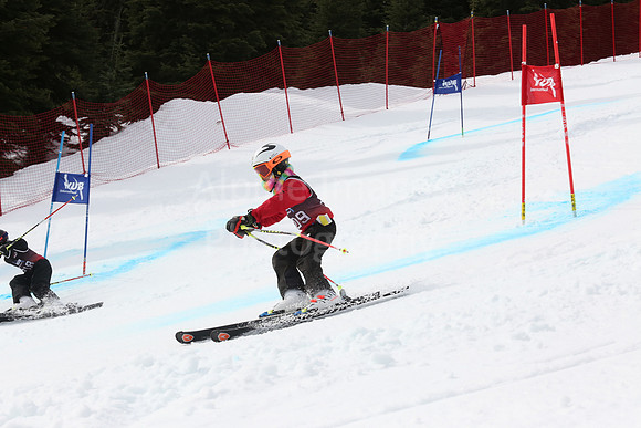 NGF2019Saturday bibs 201-220-246