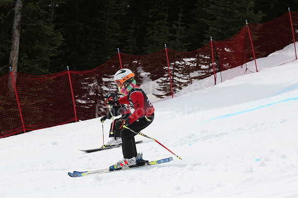NGF2019Saturday bibs 201-220-248
