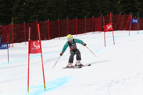 NGF2019Saturday bibs 201-220-261