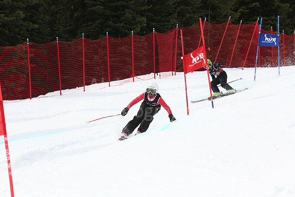 NGF2019Saturday bibs 201-220-290