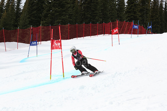 NGF2019Saturday bibs 201-220-296
