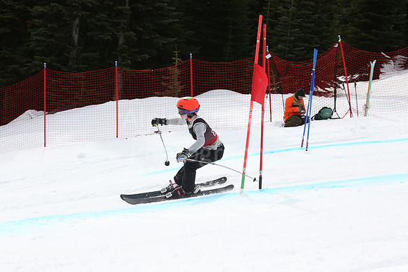 NGF2019Saturday bibs 201-220-315