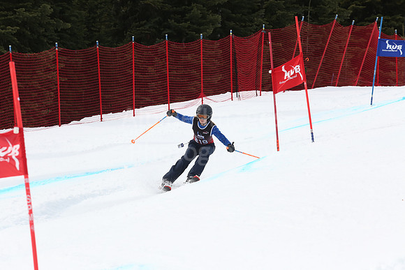 NGF2019Saturday bibs 201-220-322