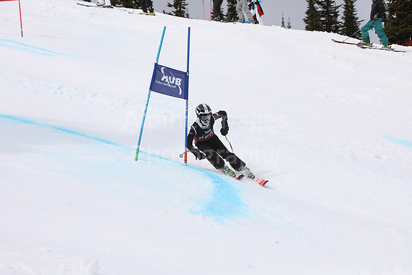 NGF2019Saturday bibs 221-240-36