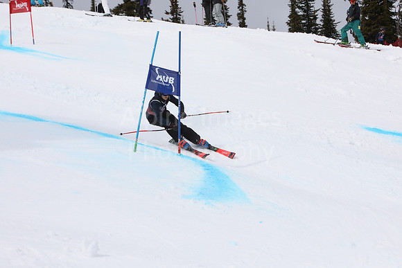 NGF2019Saturday bibs 221-240-52
