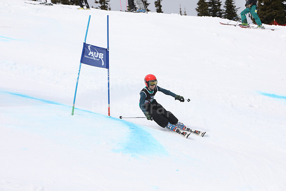 NGF2019Saturday bibs 221-240-80