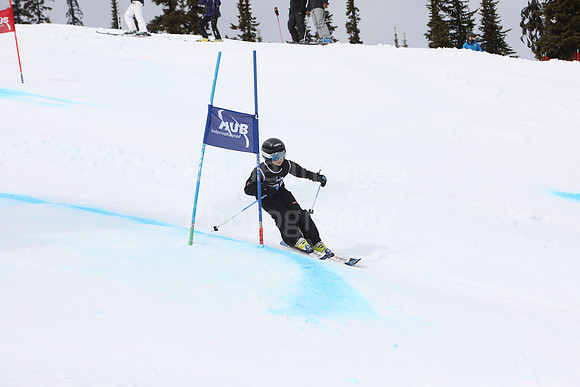 NGF2019Saturday bibs 221-240-93
