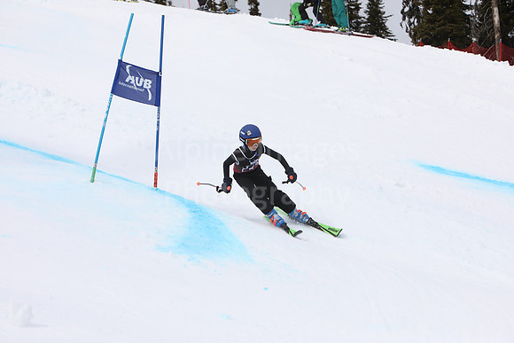 NGF2019Saturday bibs 241-260-25