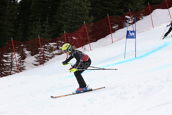 NGF2019Saturday bibs 221-240-180