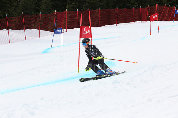 NGF2019Saturday bibs 221-240-204