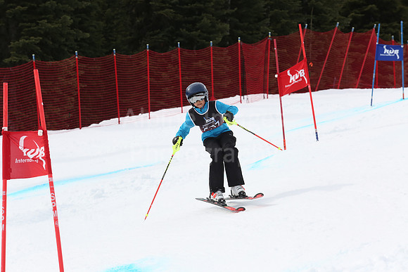 NGF2019Saturday bibs 221-240-231
