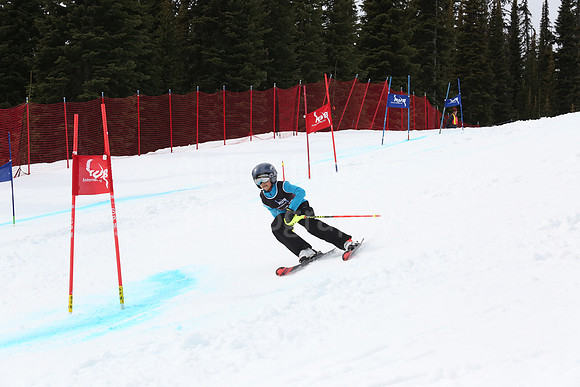 NGF2019Saturday bibs 221-240-232