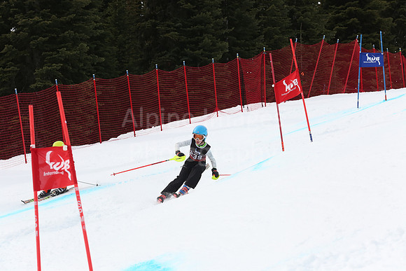 NGF2019Saturday bibs 221-240-242