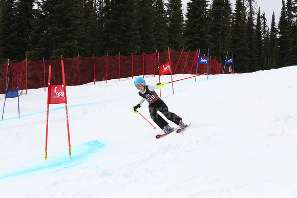 NGF2019Saturday bibs 221-240-246