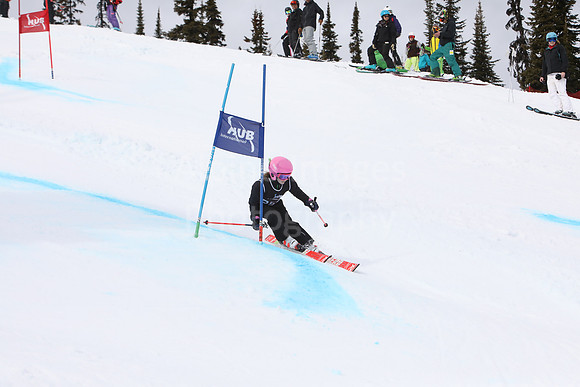 NGF2019Saturday bibs 241-260-111