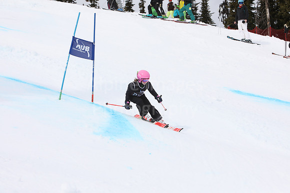 NGF2019Saturday bibs 241-260-112