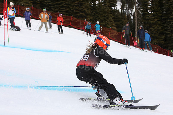 NGF2019Saturday bibs 241-260-132