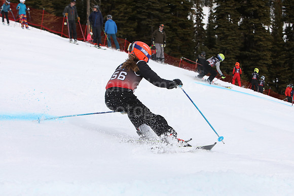 NGF2019Saturday bibs 241-260-133