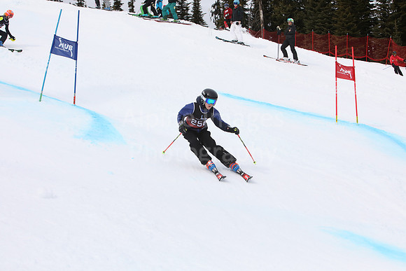 NGF2019Saturday bibs 241-260-142