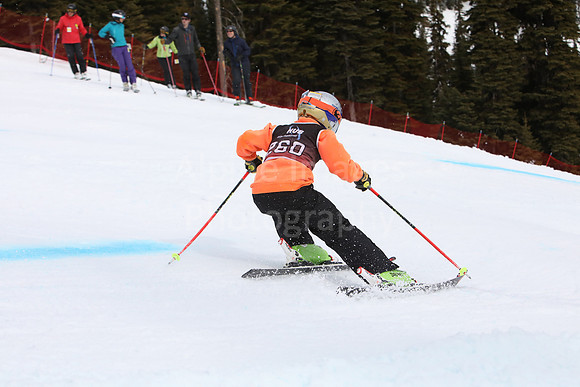 NGF2019Saturday bibs 241-260-155