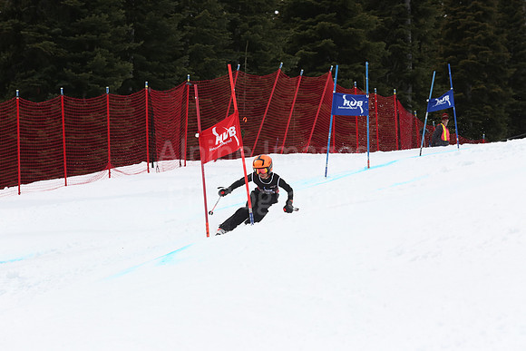 NGF2019Saturday bibs 241-260-156