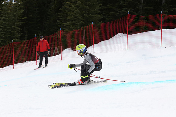 NGF2019Saturday bibs 241-260-182