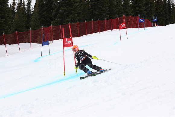 NGF2019Saturday bibs 241-260-190