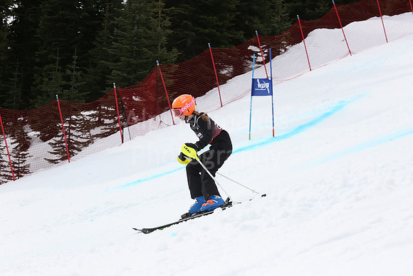 NGF2019Saturday bibs 241-260-193